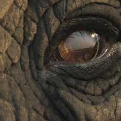 WWF Just Like Us TV advert