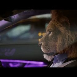 King of the City Jungle