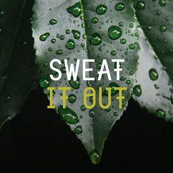 Branding the outdoor fitness bootcamp that's sticking it to the gym