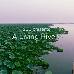 HSBC "A Living River"