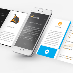 Logistics software website design