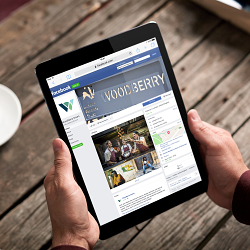 Laying the foundations for social success