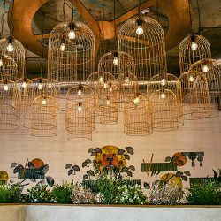 Branding and Interior Design