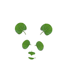 WWF