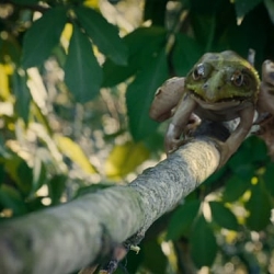 Platige Image CG Reel