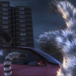 Lemur Street - TVC