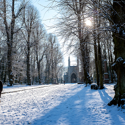 Winter walk