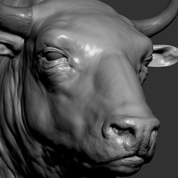 MAKING OF Bison