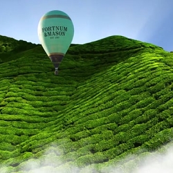 Fortnum & Mason - The Tea Film
