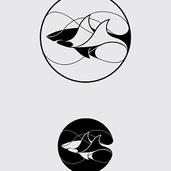 Shark Conservation Fund