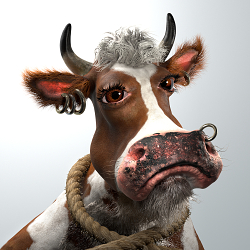 Sad Cow