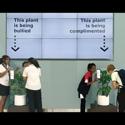 IKEA Bully a plant