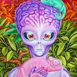 Conflicted Chameleons
