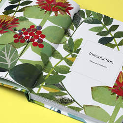 Botanical Brain Balms – Filbert Press