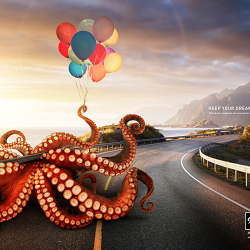 Brand SA | Keep Your Dreams off the Road