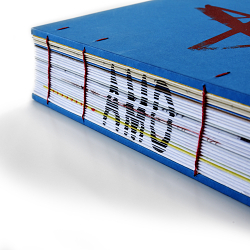 The AMO Book for RSHP