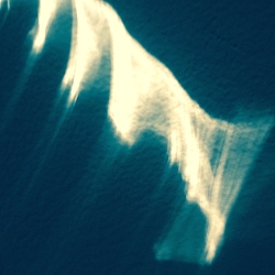 Atmospheric imagery/ light projections for Rare Species Creative ID and stage backdrop
