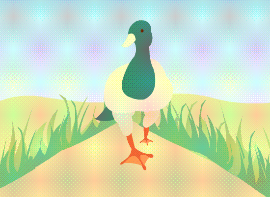 Forward Walk Cycle