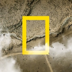 NatGeo Ids