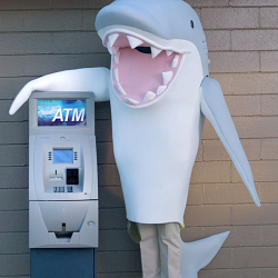 Beware The Fee Shark