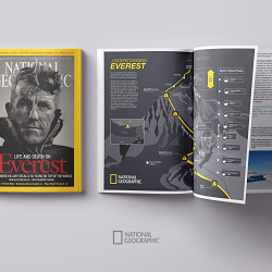 Project Everest