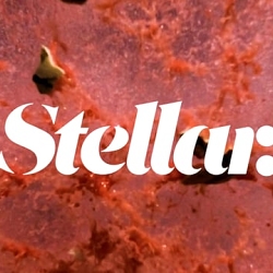 We are Stellar
