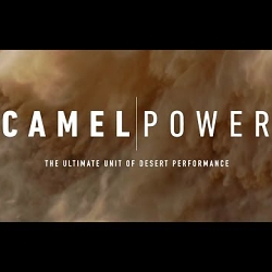 Camel Power