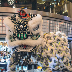 Chinese New Year 2018