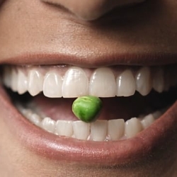 Eat Plants. For a change - Compassion in World Farming