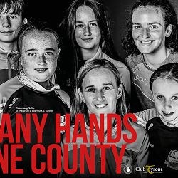 Many Hands. One County.