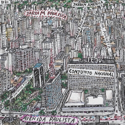 vistas da cidade de são paulo
