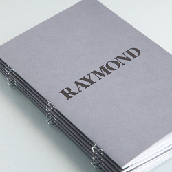 Raymond Brochure