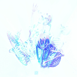 image work 3
