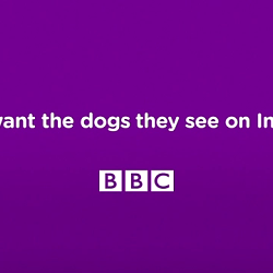 #PetMe