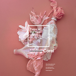 #keeplivingcoral / Color of the Year 2020
