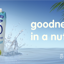 innocent coconut water