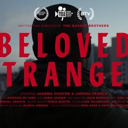 Beloved Stranger