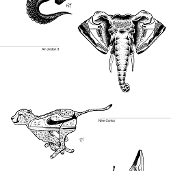 The Sneakers Zoo