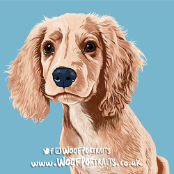 Woof Portraits