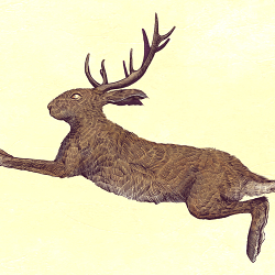 Bestiario