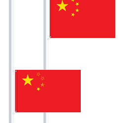 China's social credit score.