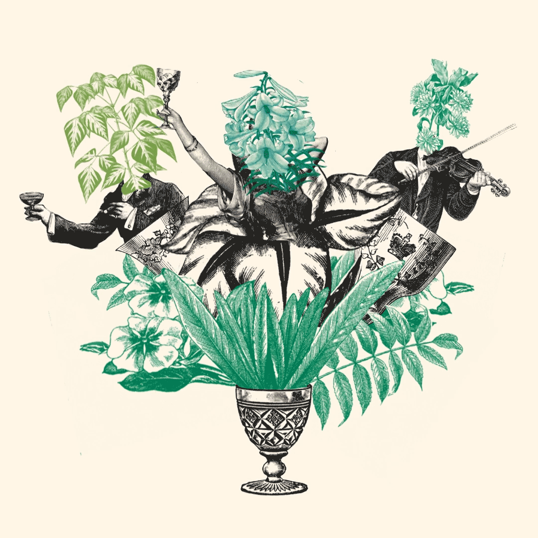 building animation for House of botanicals