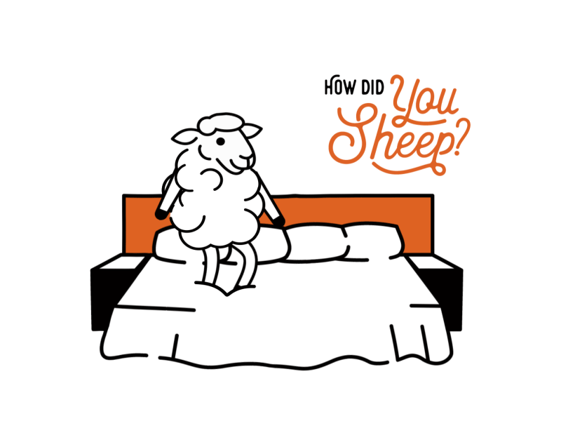 Hotel Ketchum | Sheep Series