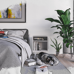 Interior CGI idea