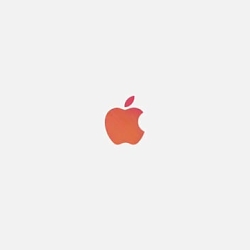 Apple iPhone X — Unlock