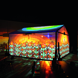 INSIDEOUT | La Casa Azul