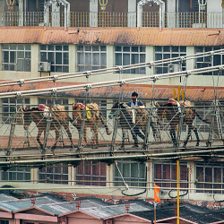 India - People I've seen, 2014