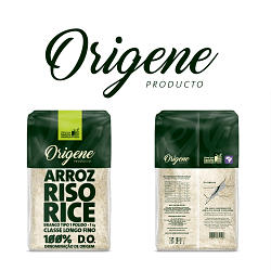 ORIGENE - Identity and Package