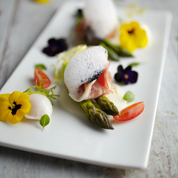 Molecular Gastronomy at Home