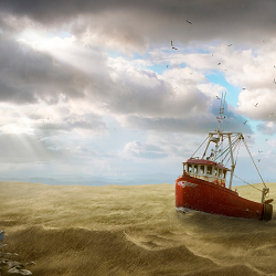 Seagrass